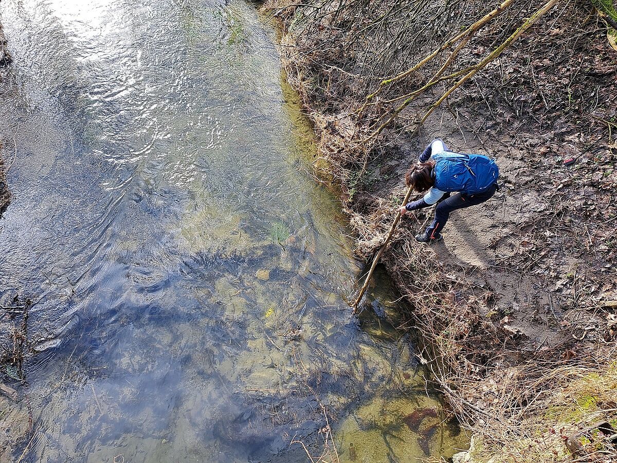 Wir räumen am Inn auf. (Foto: Sandra Zebisch) Wir räumen am Inn auf. (Foto: Sandra Zebisch)