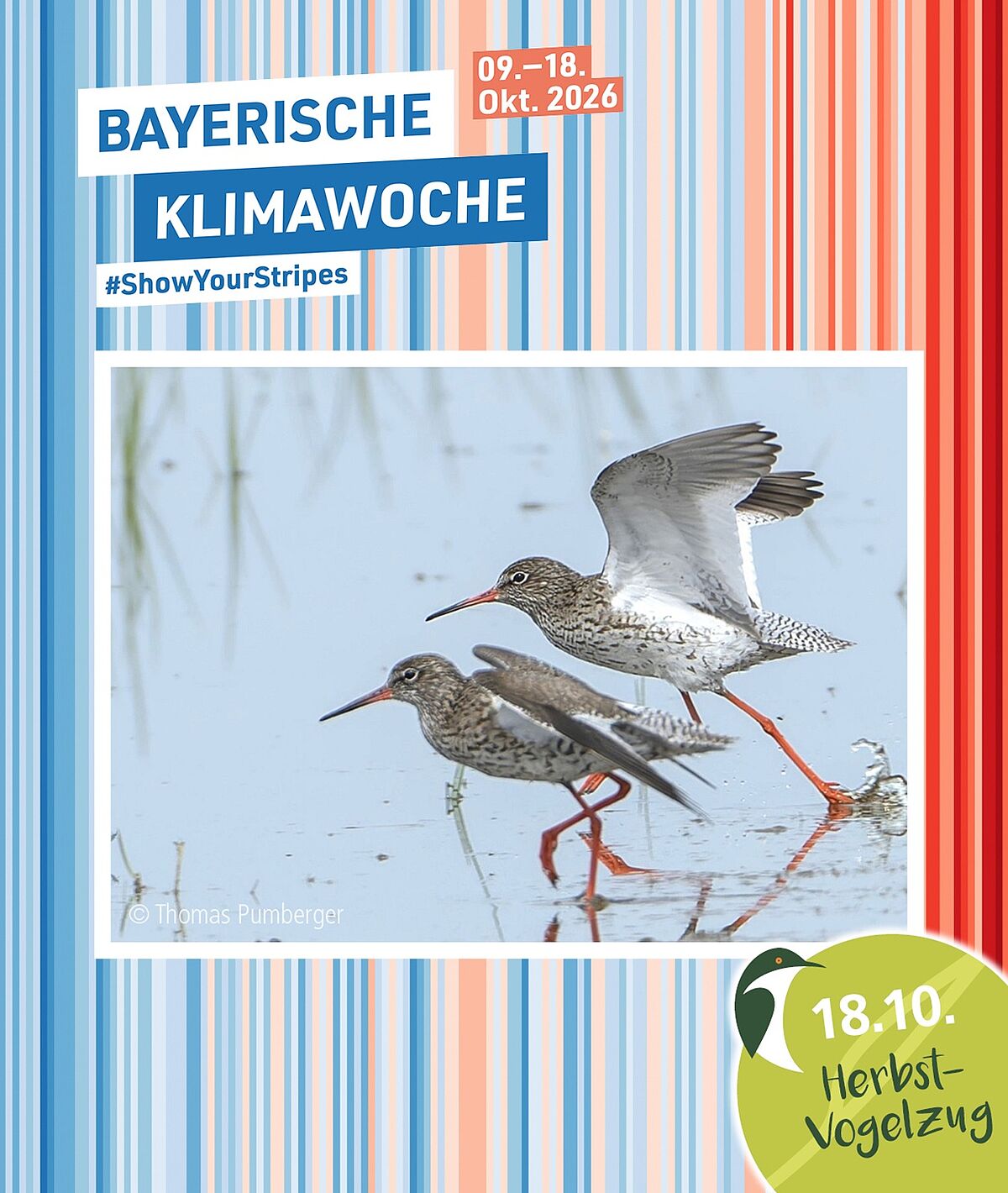 Grafik: Klimastreifen Rottal-Inn; Rotschenkel: Foto Thomas Pumberger Grafik: Klimastreifen Rottal-Inn; Rotschenkel: Foto Thomas Pumberger