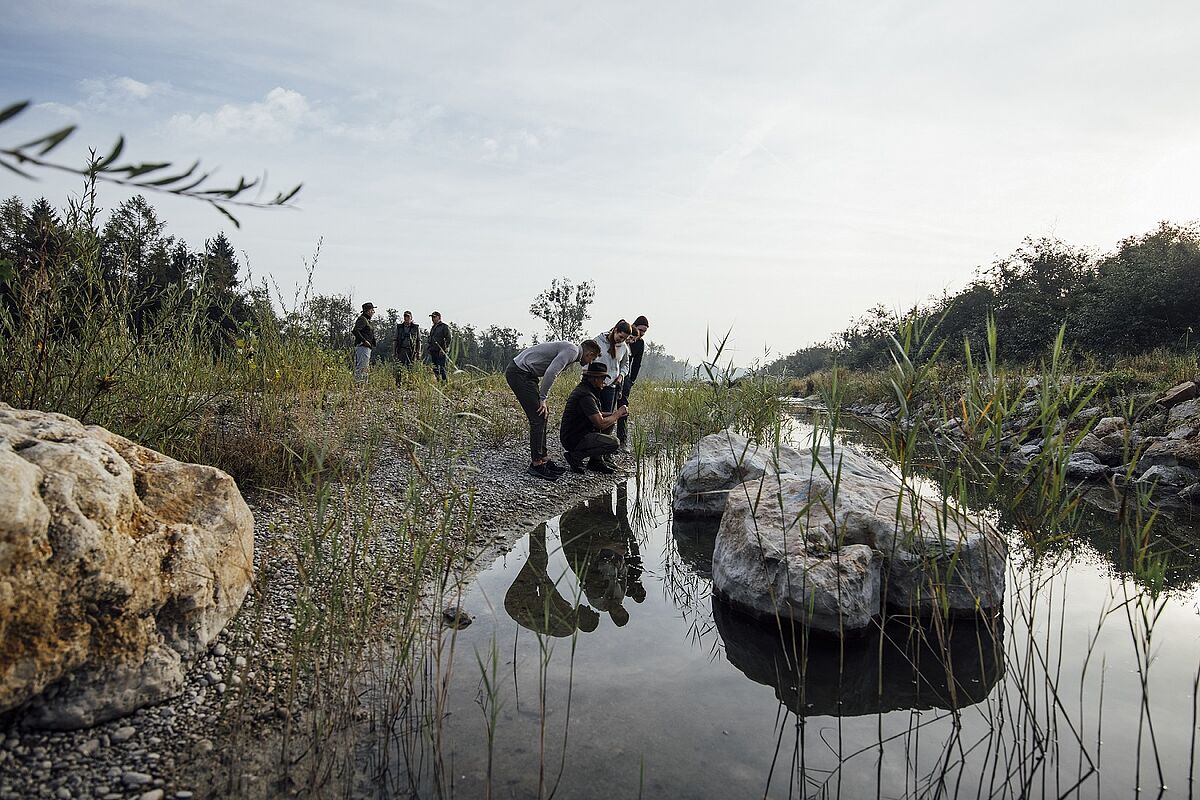 Beim Naturschauspiel grenzenlos die Natur entdecken. (Foto: Oberösterreich Tourismus - Innviertel Tourismus - Tom Son) Beim Naturschauspiel grenzenlos die Natur entdecken. (Foto: Oberösterreich Tourismus - Innviertel Tourismus - Tom Son)