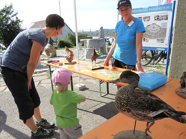 Wasservögel sind spannend - auch schon für die ganz kleinen Besucher. Wasservögel sind spannend - auch schon für die ganz kleinen Besucher.